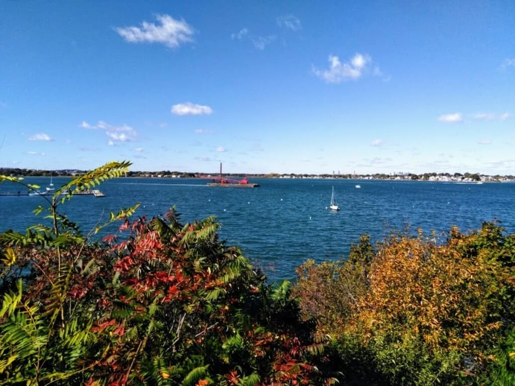Norfolk County's July Housing Market: Price Adjustments Amid Increased Inventory