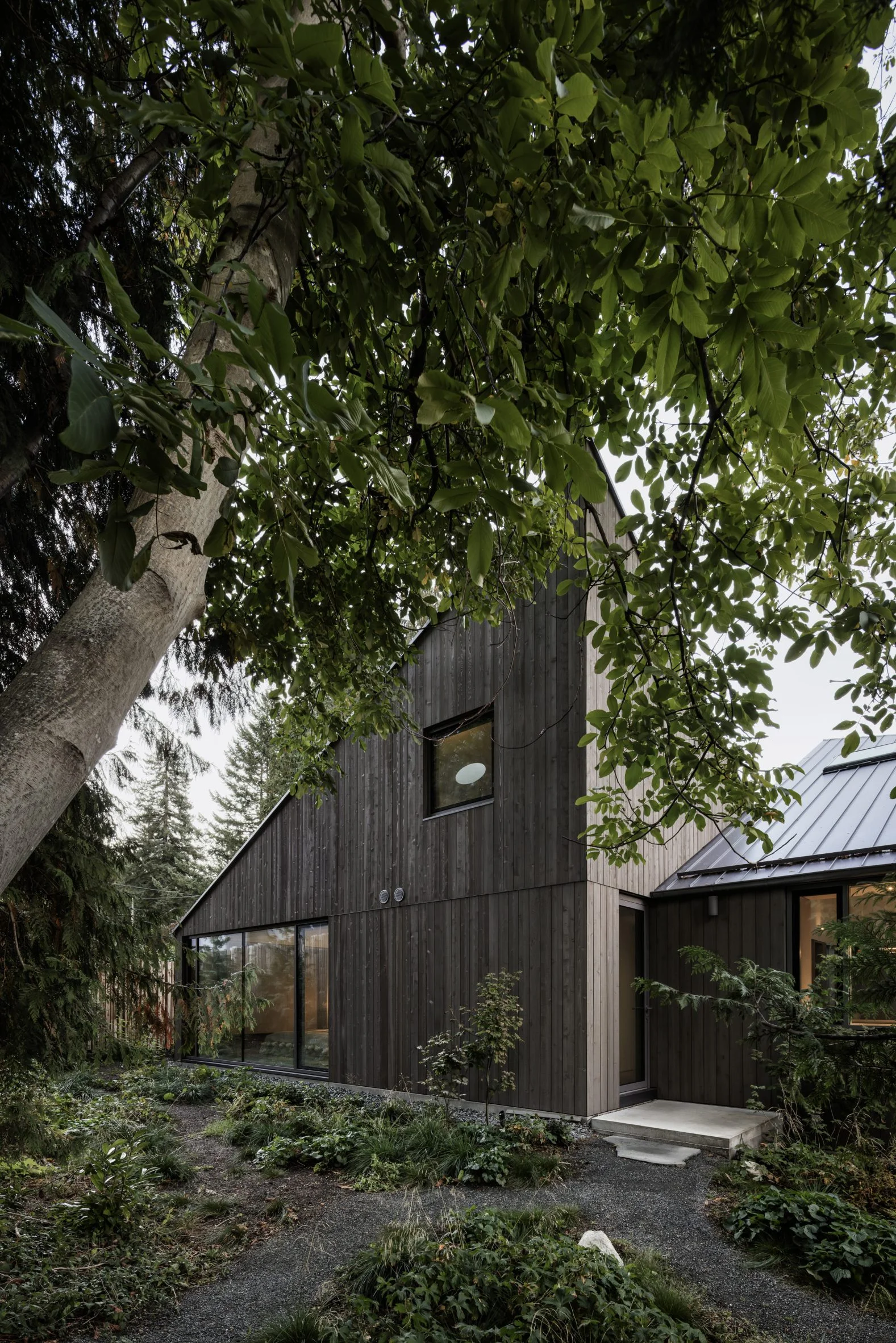 Leckie Studio Twin Peaks House